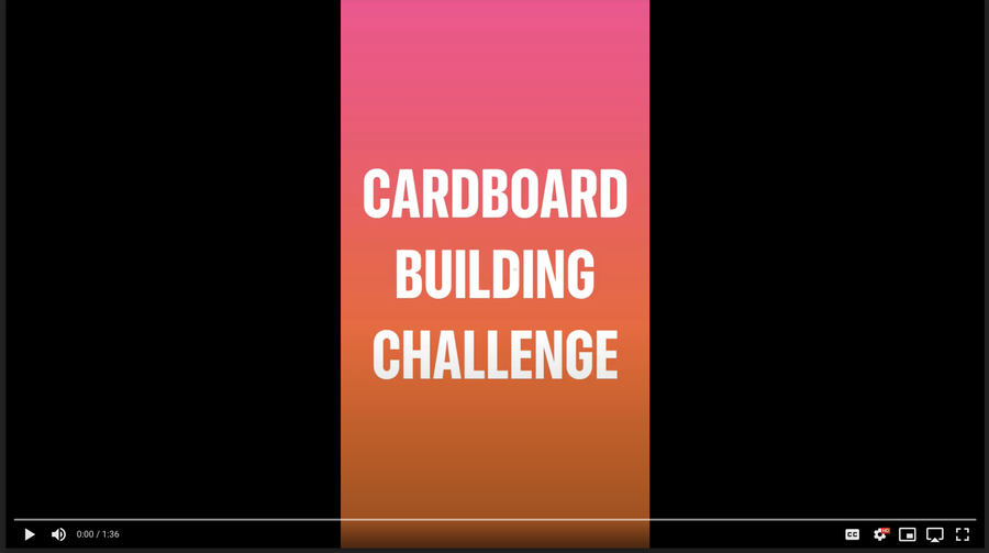 Bacich Cardboard Challenge